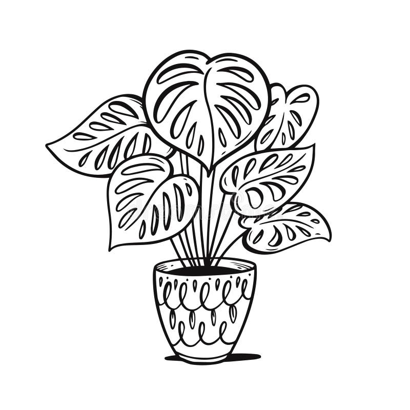 Plant in Pot Interior Decor Black Color Sketch Style Vector ...