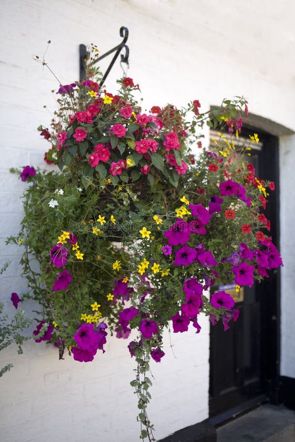 4,443 Hanging Flower Pots Stock Photos - Free & Royalty-Free Stock ...