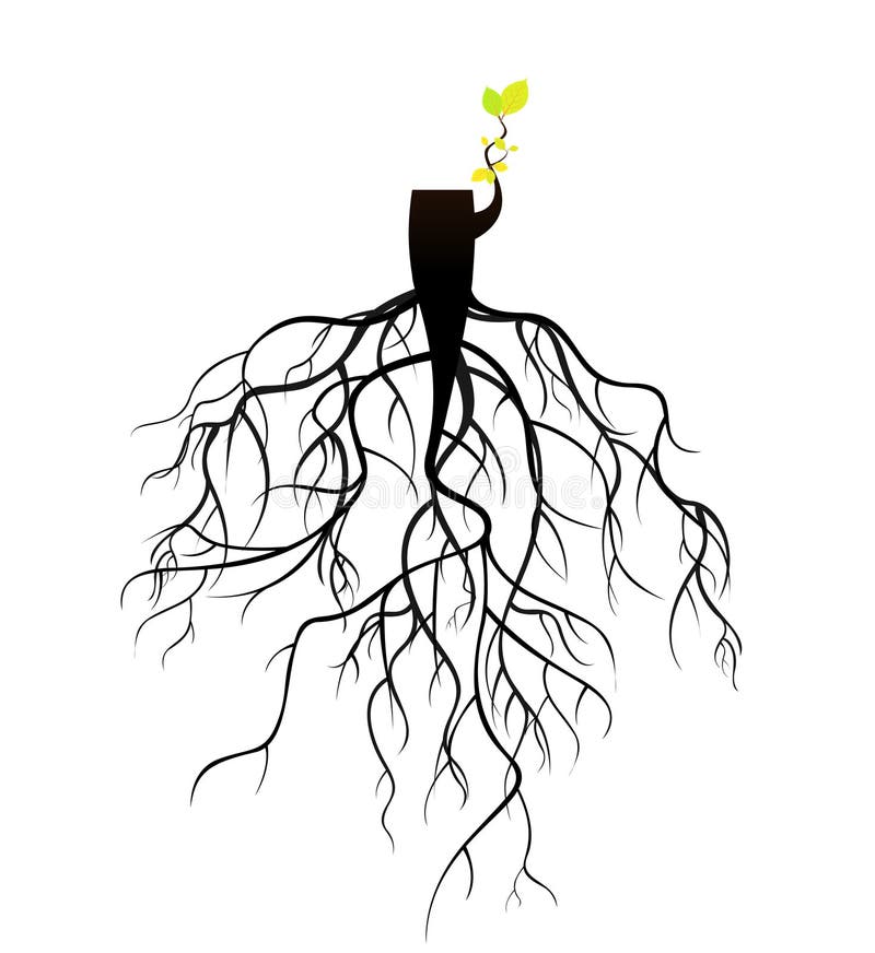 Free Plant Reborn On Tree Stub Roots. Royalty Free Stock Photo - 41012755