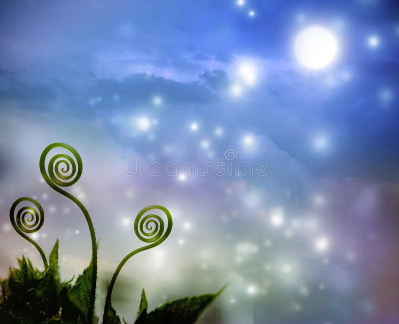 Plant tendrils on night fantasy background