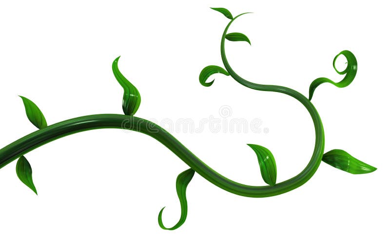 17,500+ Green Vines Stock Illustrations, Royalty-Free Vector