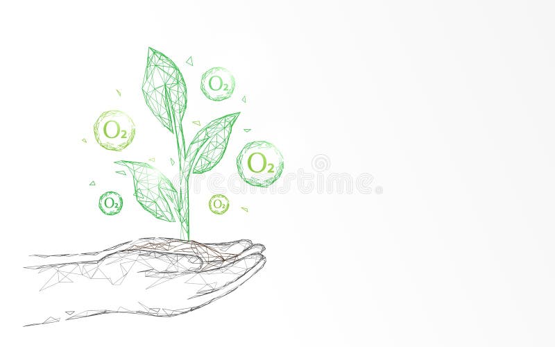 Planta con las líneas y los triángulos, fondo de conexión de la forma del oxígeno a mano de la red del punto Concepto de la ecolo ilustración del vector Planta con las líneas y los triángulos, fondo de conexión de la forma del oxígeno a mano de la red del punto Concepto de la ecolo ilustración del vector