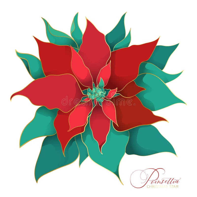 Planta De Natal De Poinsettia Verde-vermelha Em Estilo Decorativo Asiático  Ilustração do Vetor - Ilustração de nave, planta: 216946088