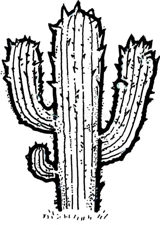 Cacto No Deserto Vector a Ilustração Desenhado à Mão Do Estilo Dos