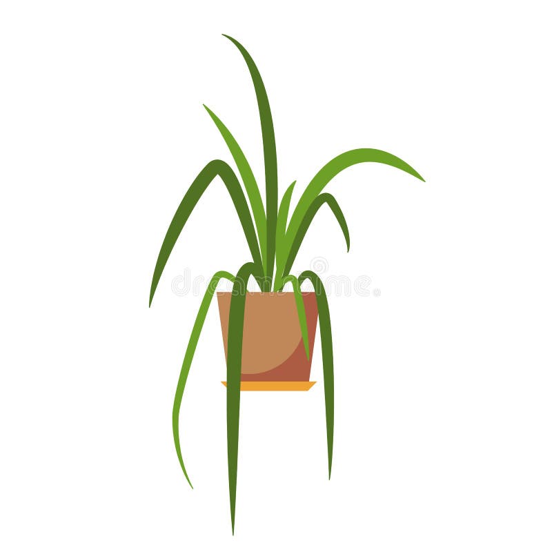 Planta Potted ilustração royalty free Planta Potted ilustração royalty free