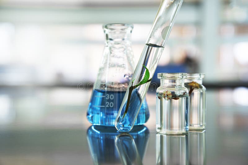 Planta verde da licença no tubo de ensaio e na flor de vidro no tubo de ensaio com solução líquida azul na garrafa no laboratório fotografia de stock Planta verde da licença no tubo de ensaio e na flor de vidro no tubo de ensaio com solução líquida azul na garrafa no laboratório fotografia de stock