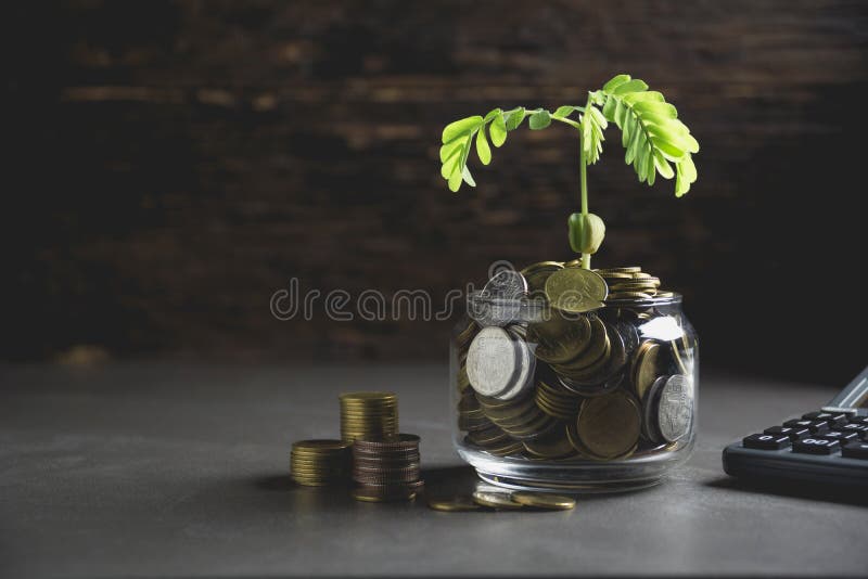 Planta verde nova com a moeda da pilha na terra para o negócio crescente imagem de stock royalty free Planta verde nova com a moeda da pilha na terra para o negócio crescente imagem de stock royalty free