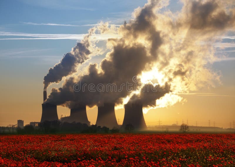 Planta y Poppy Field encendidas carbón del poder