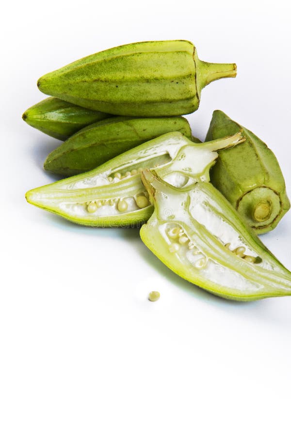 Plantaardige damesvinger stock afbeelding Plantaardige damesvinger stock afbeelding