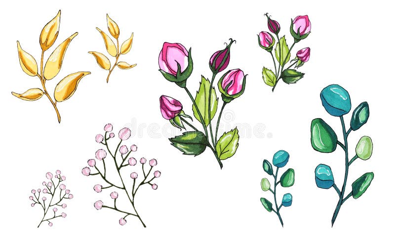 Plantaardige wereld Bloemen en takjes Gevoelige takjes van bloemen vector illustratie Plantaardige wereld Bloemen en takjes Gevoelige takjes van bloemen vector illustratie