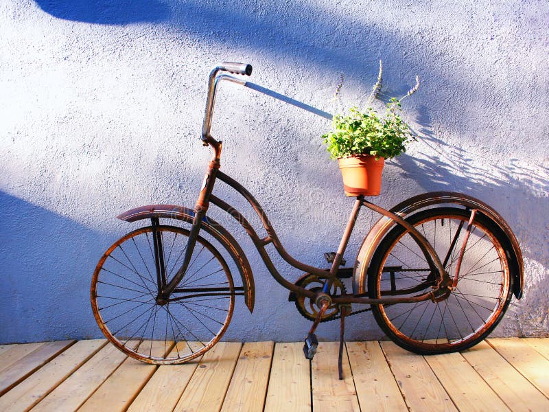 An antique bicycle with a planter on it. An antique bicycle with a planter on it