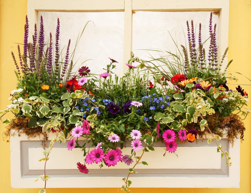 Beautiful Spring Flowers and Leaves Planter Outside a Window. Beautiful Spring Flowers and Leaves Planter Outside a Window