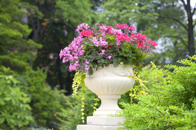 A cement pedestal planter backlit in a summer garden or park setting. A cement pedestal planter backlit in a summer garden or park setting.