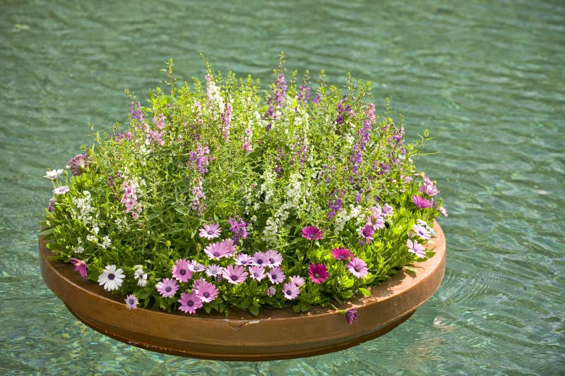 A floating planter with purple flowers. A floating planter with purple flowers.