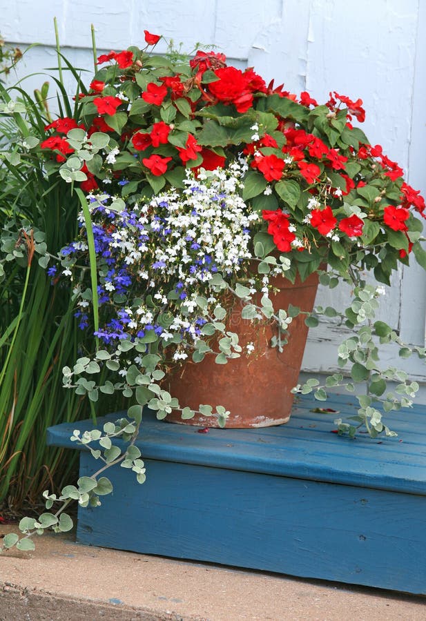 A terracotta garden planter filled with impatiens and lobelia. A terracotta garden planter filled with impatiens and lobelia.