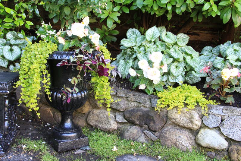 Elegant urn planter filled with white begonias. Also available in vertical. Elegant urn planter filled with white begonias. Also available in vertical.