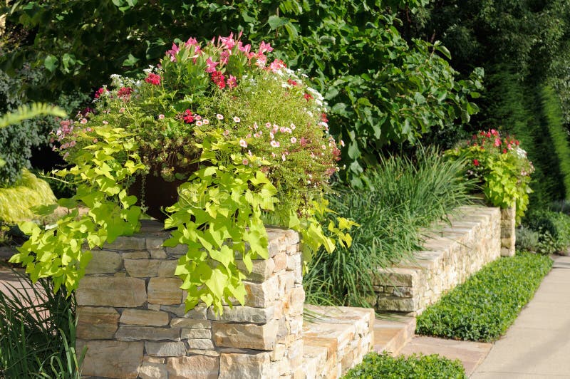 Flower pot or planter with geranium, calibrachoa (million bells) and sweet potato vine on stone wall, framing house entrance. Flower pot or planter with geranium, calibrachoa (million bells) and sweet potato vine on stone wall, framing house entrance