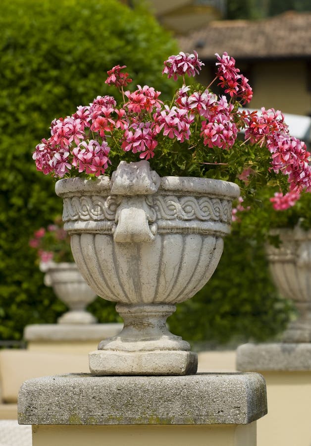 Flowers in the Planter in garden during summer. Flowers in the Planter in garden during summer