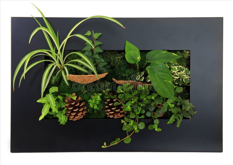 Contemporary green moss wall planter. Contemporary green moss wall planter.