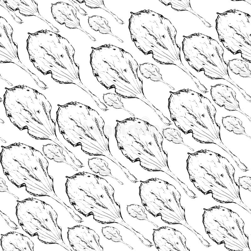 Ink outline plantain leaf seamless pattern stock illustration