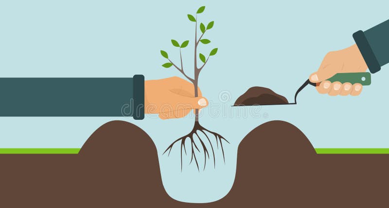 Plantando uma árvore com raizes, uma mão que guarda uma árvore, uma outra pá com solo ilustração do vetor Plantando uma árvore com raizes, uma mão que guarda uma árvore, uma outra pá com solo ilustração do vetor