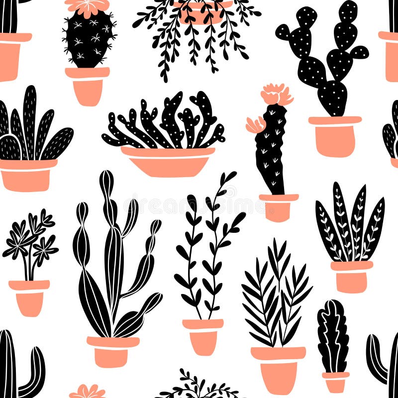 Cactus vetor botânico cactos verde cactáceo suculento planta botânica  ilustração floral realista conjunto de desenhos animados flores exóticas  isolados sobre fundo transparente imagem vetorial de luplupme.gmail.com©  221535294