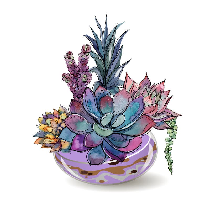 Plantas carnudas nos aquários de vidro Areia colorida Composições decorativas da flor gráficos watercolor Vetor ilustração do vetor Plantas carnudas nos aquários de vidro Areia colorida Composições decorativas da flor gráficos watercolor Vetor ilustração do vetor