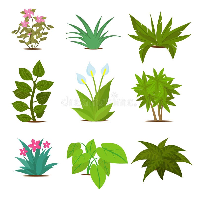 Plantas Da Casa Arranjadas No Círculo, Ilustração Desenhada À Mão Do Vetor  Panelas, Cactos E Suculentas Bonitos Da Planta Da Casa. Isolado Item Do  Desenho Animado No Estilo Escandinavo Royalty Free SVG