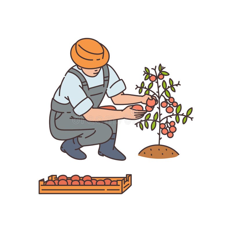 Plantas Cultivo De Tecnología Agrícola Dibujo Ilustrativo Vectorial Aislado  Ilustración del Vector - Ilustración de agricultura, invernadero: 169601284