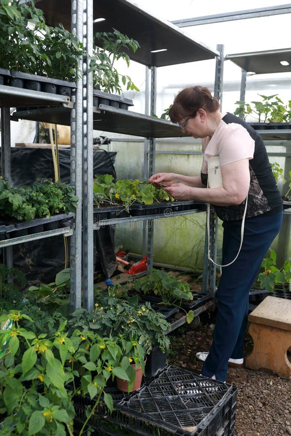 Plantas de compra da mulher sênior imagem de stock