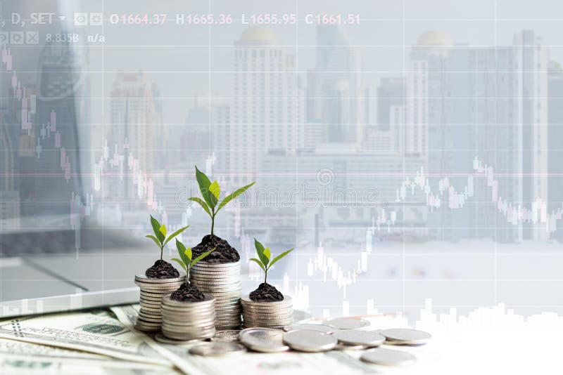 Plantas de crecimiento económicas en pilas de monedas en papel analizan el rendimiento la financiación del gráfico financiero con