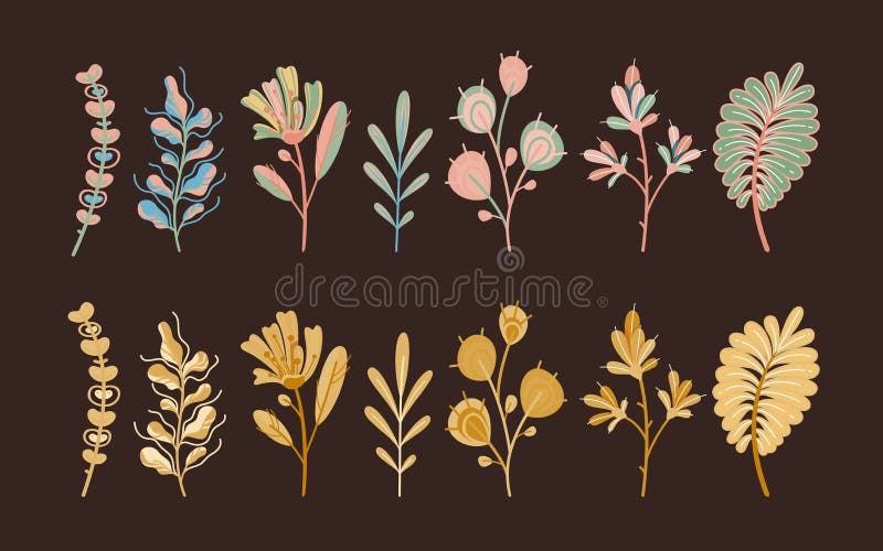 Plantas do outono Folhas abstratas bonitos e cereal da floresta nas flores lisas ecológicas do jardim botânicas no fundo escuro ilustração royalty free Plantas do outono Folhas abstratas bonitos e cereal da floresta nas flores lisas ecológicas do jardim botânicas no fundo escuro ilustração royalty free