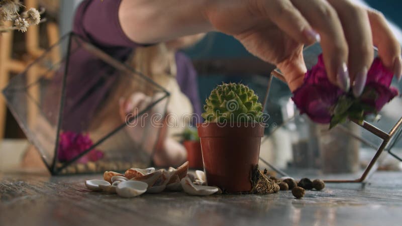 Plantas em vaso assentam em uma mesa de madeira em um workshop especializado na criação de florários. uma artesã qualificada