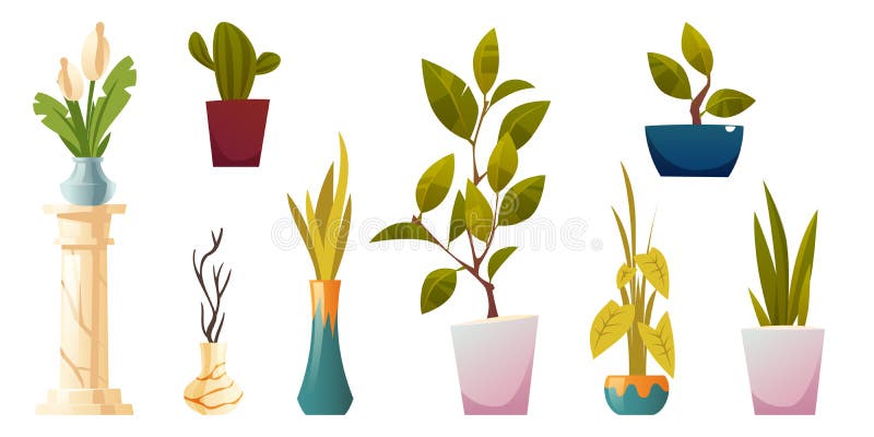 Plantas En Macetas Plantas Y Flores Ilustración del Vector - Ilustración de  cala, icono: 210867871