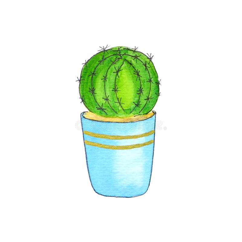 Conjunto De Cactos Em Bolbos De Flores. Desenho Desenhado à Mão Isolado Em  Branco Ilustração Stock - Ilustração de isolado, plantas: 253611264