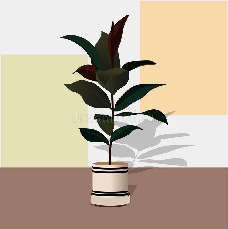 Plantas tiradas mão da casa Ilustração escandinava do estilo ilustração stock Plantas tiradas mão da casa Ilustração escandinava do estilo ilustração stock