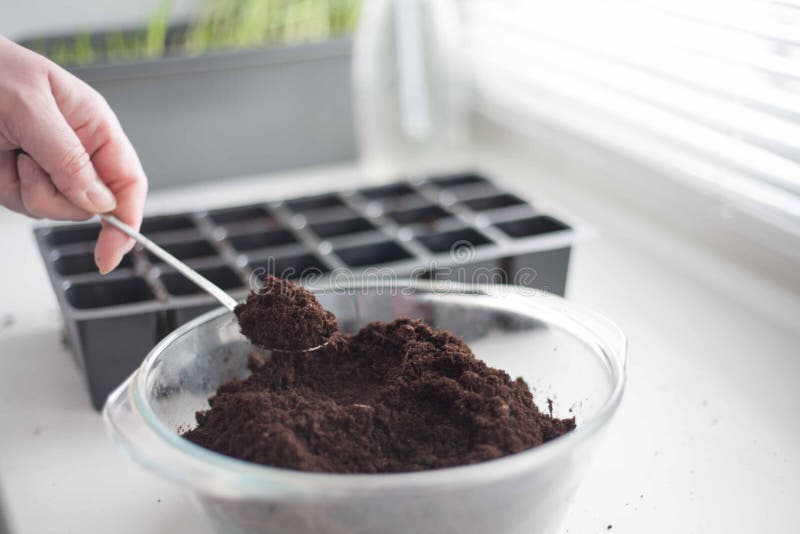 Planting vegetables in a city apartment. A vegetable garden in a megalopolis, a piece of wildlife in the urban stone jungle. Planting vegetables in a city apartment. A vegetable garden in a megalopolis, a piece of wildlife in the urban stone jungle.