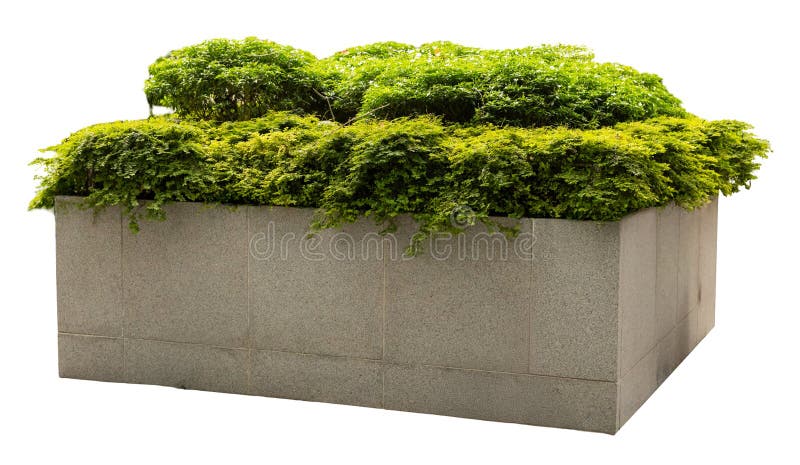 A planter made of stone holds lush green plants on top. This cut-out element is ready for use in design projects or presentations royalty free stock photography