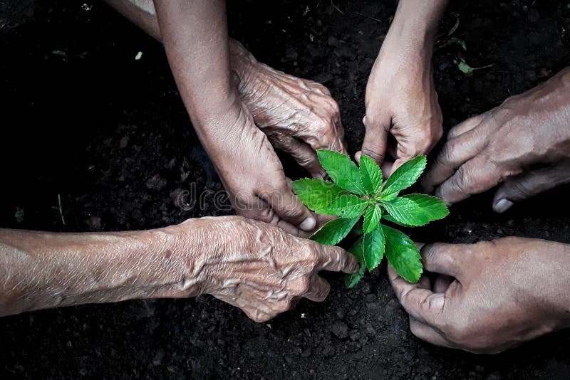 Plantera för grupp människor arkivfoton