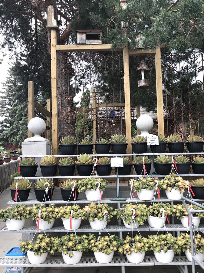 Planters galore stock photo. Image of nursery, planters 120681682