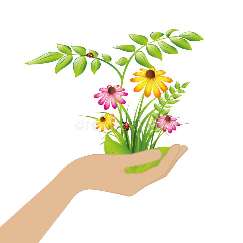 Plantes et fleurs femelles de prise de main illustration de vecteur Plantes et fleurs femelles de prise de main illustration de vecteur