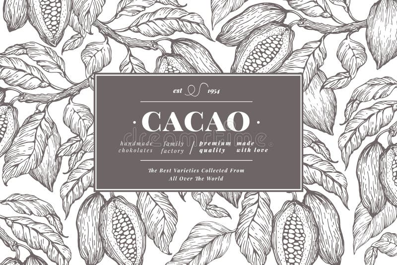 Plantilla de la bandera del árbol del grano de cacao Fondo de los granos de cacao del chocolate Ilustración drenada mano del vect ilustración del vector Plantilla de la bandera del árbol del grano de cacao Fondo de los granos de cacao del chocolate Ilustración drenada mano del vect ilustración del vector