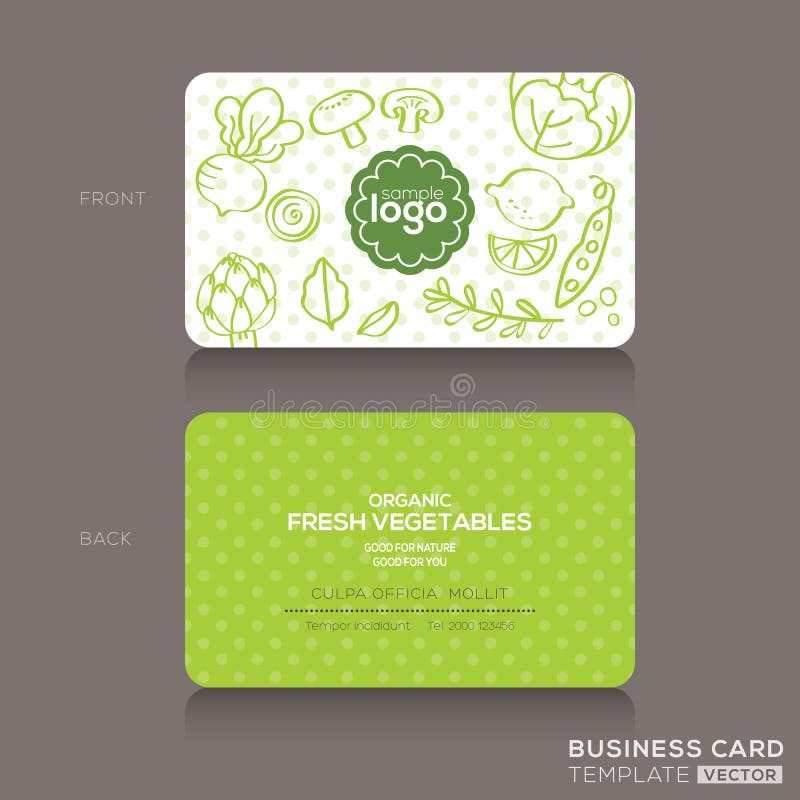 Plantilla del diseño de la tienda de comidas orgánicas o de la tarjeta de visita del café del vegano ilustración del vector Plantilla del diseño de la tienda de comidas orgánicas o de la tarjeta de visita del café del vegano ilustración del vector