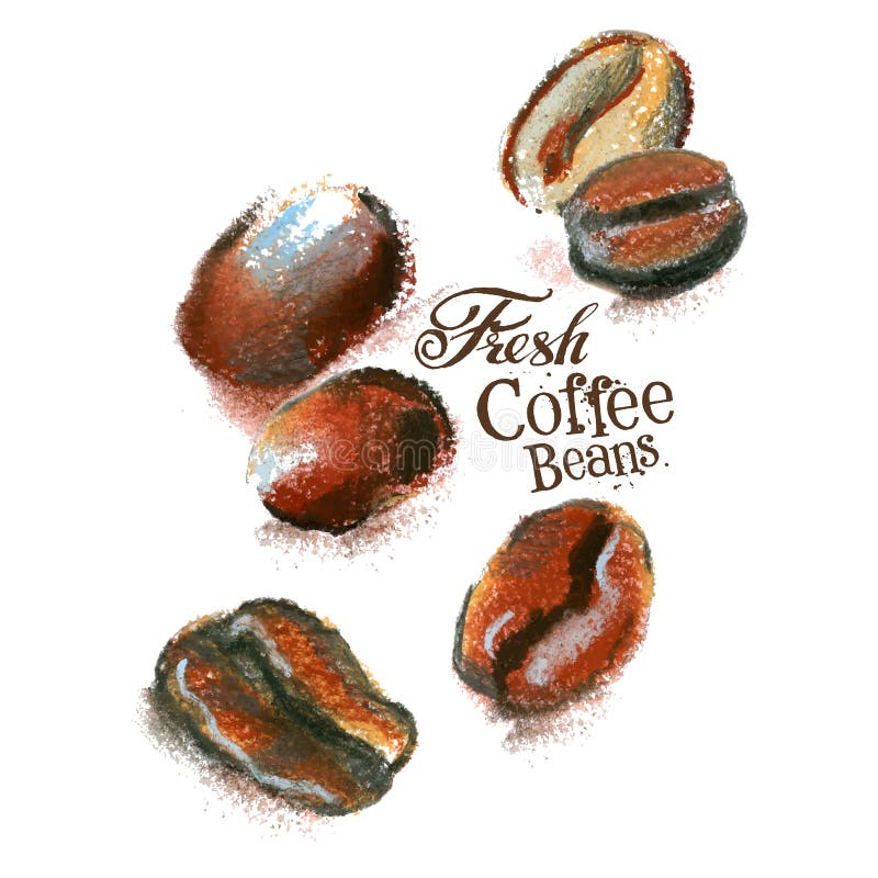 Plantilla fresca del diseño del logotipo del vector del café habas o stock de ilustración Plantilla fresca del diseño del logotipo del vector del café habas o stock de ilustración