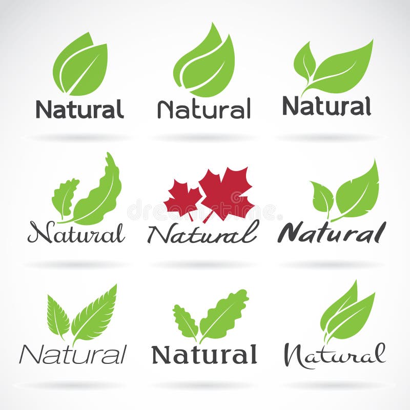 Plantilla natural del vector del diseño del logotipo libre illustration Plantilla natural del vector del diseño del logotipo libre illustration