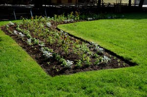 Planting Perennials In Flower Beds Annual Rebates Are Various Crescent 