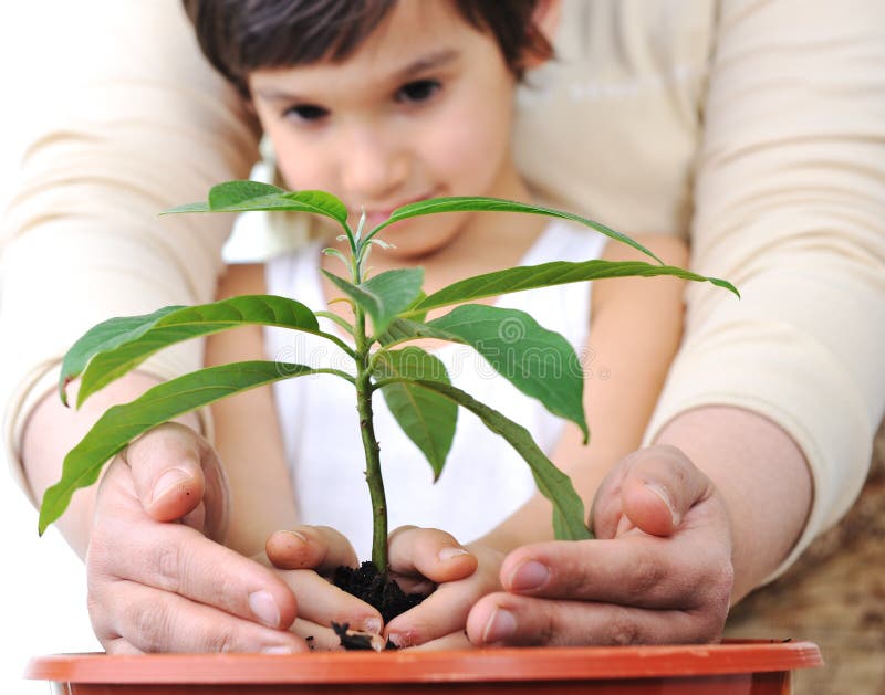 Plantando planta, un nino madre.