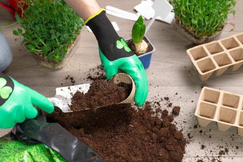 Planting Plants with Dirt and Wattering Can. Spring Time and Seeding