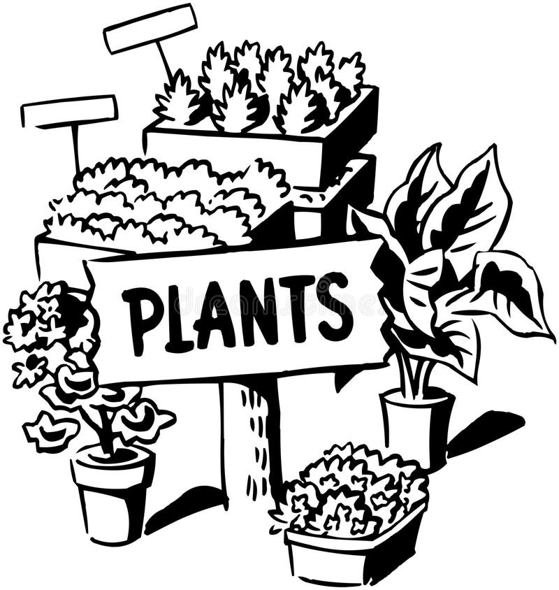 Nurseries Plants Stock Illustrations 10 Nurseries Plants Stock