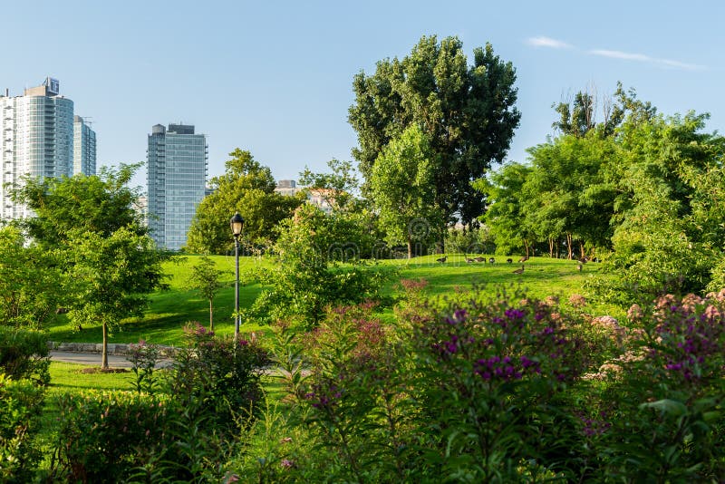Plants and Animals in Park on Roosevelt Island in New York City Editorial  Image - Image of life, forest: 123404345